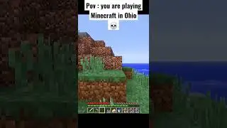 A minecraft normal day in Ohio #viral #shorts