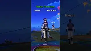 Genshin Impact human and non human characters 