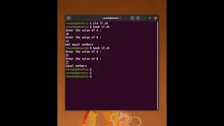 Linux shell scripting conditional statements 
