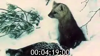 киножурнал БОЛЬШОЙ УРАЛ 1994 № 2 