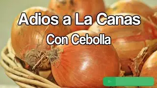 Adios a Las Canas Con La Cebolla, Descubre como Lo usan Los Famosos