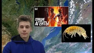 Байкальские рачки и 