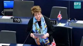Criminals using EU system for human trafficking - Margot Parker MEP