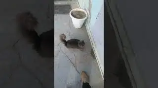 Морозовск Любимая Стоянка
