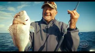 CD Rods New Zealand Story 2017