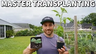 Don't Get BURNED: This Is The BEST Time To Plant Your Veggies!