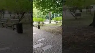 Windy day in the park 