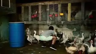 Despacito music video