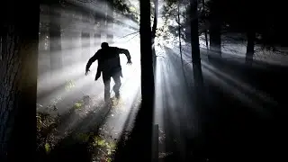 What to do if you are being stalked?