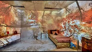 Self on the Shelf - Immersive Interactive Installation