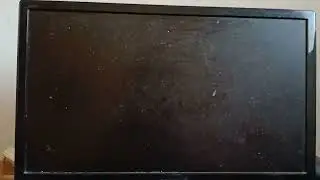 Gummy Bear Screaming Has BSOD