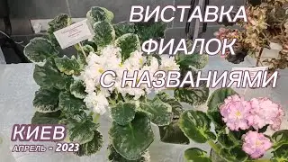 Выставка фиалок в Киеве - апрель 2023 - с названиями сортов