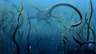 Elasmosaur Discovery!