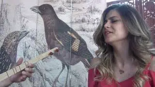 Cangül TÜRKGÜZELİ - Candan İleri