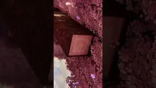 Ну прям очень красивый майнкрафт 