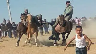 MIRZOBEK RAISDAN MUXLISLAR UCHUN SHER OMON BÒLSIN KÒPKARINI CHIN MUXLISLARI