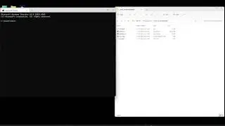 How to use the window command line to launch the PLINK. 
