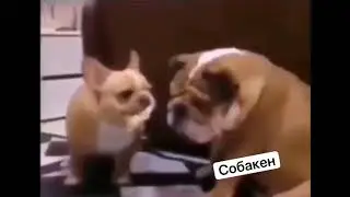 Смотри, что у меня есть 😁😁