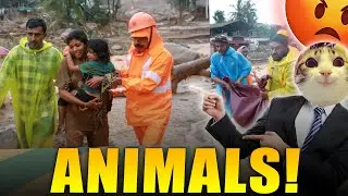 NOT HUMANS THEY ARE ANIMALS!😠