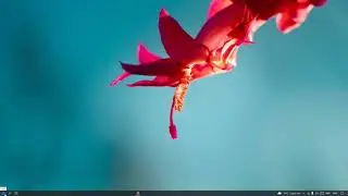 How to Make Your Desktop Look Clean, Cool and Professional [2021]