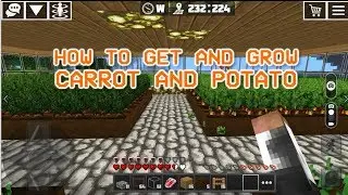 How to Get and Grow Carrot and Potato | FARMING #5