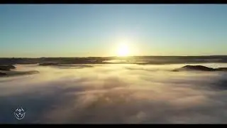 NIEBLA (FOG)