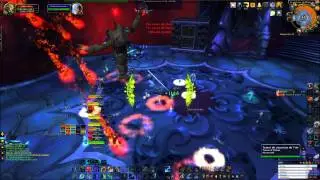 HALFUS 10 VS GDO