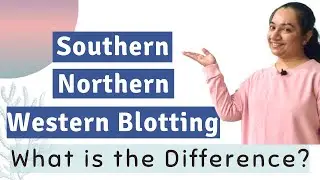 Difference between Southern Blotting, Northern Blotting and Western Blotting | CSIR NET Life science
