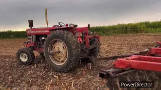 Got the old Massey 1130 out for some disking