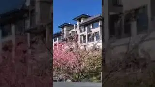 Beautiful view