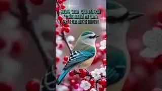 ЛЮБИТЕ ЖИЗНЬ !   ОНА ПРЕКРАСНА ! ... 