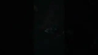 20 октября 2023 г.