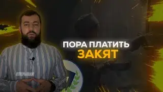 Пора платить Закят