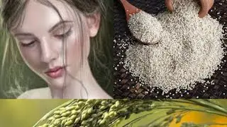 one day one positive millet helps in reproductive #Little millet helps in the problem of ovaries