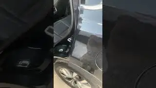Черти тигр 7 гниет