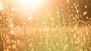 "Summertime" cover by Now & Then