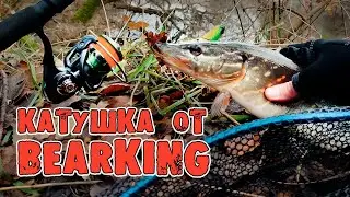 Береговая рыбалка и тест катушки от Bearking 2021 Pro 2 Seawar с AliExpress