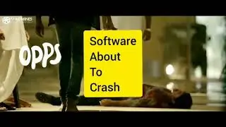 Best programmer in world