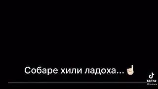 Собаре хили ладоха
