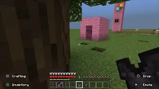 Hide and seek in Minecraft with PonyGirlEvie