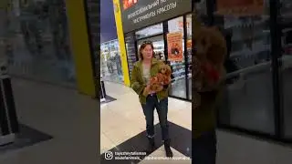 Той пудель щенок 4,5 месяца ☝️