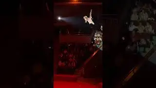 Гетнер под куполом
