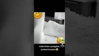 ошики