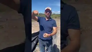 ENS8LAJE DE  SORGO + POLLINAZA