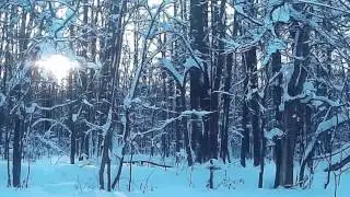 Мечты сбываются! Вводный ролик.