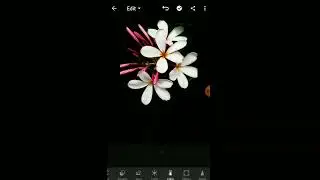 লাইটরুম দিয়ে ফটোর Background কালো করার সহজ উপায়। Easy way to blacken photo background with lightroom