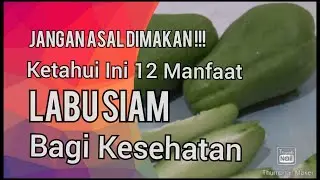 JANGAN ASAL DIMAKAN ! | KETAHUI INI 12 MANFAAT LABU SIAM BAGI KESEHATAN