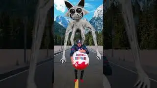 ZooNoMAlY vs Nerf