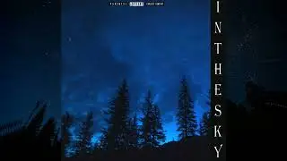 SIDRENCHIK - In the Sky (Official Audio)