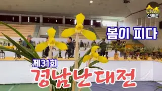 화려한 꽃들이 피어난 제31회 경남난대전..봄이왔다!